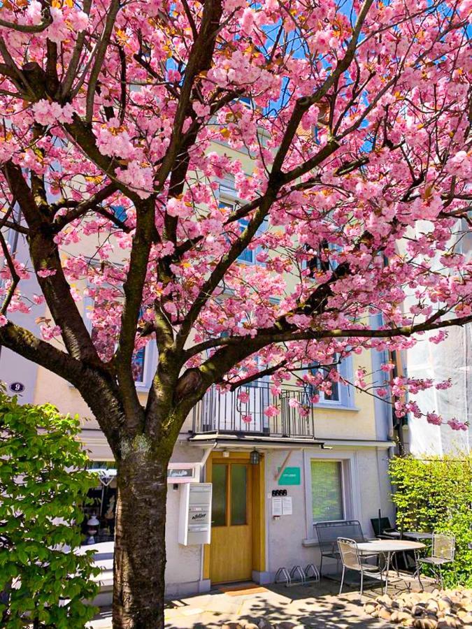 Citylodge St Gallen - 2 Min To Marktplatz St. Gallen Exterior photo